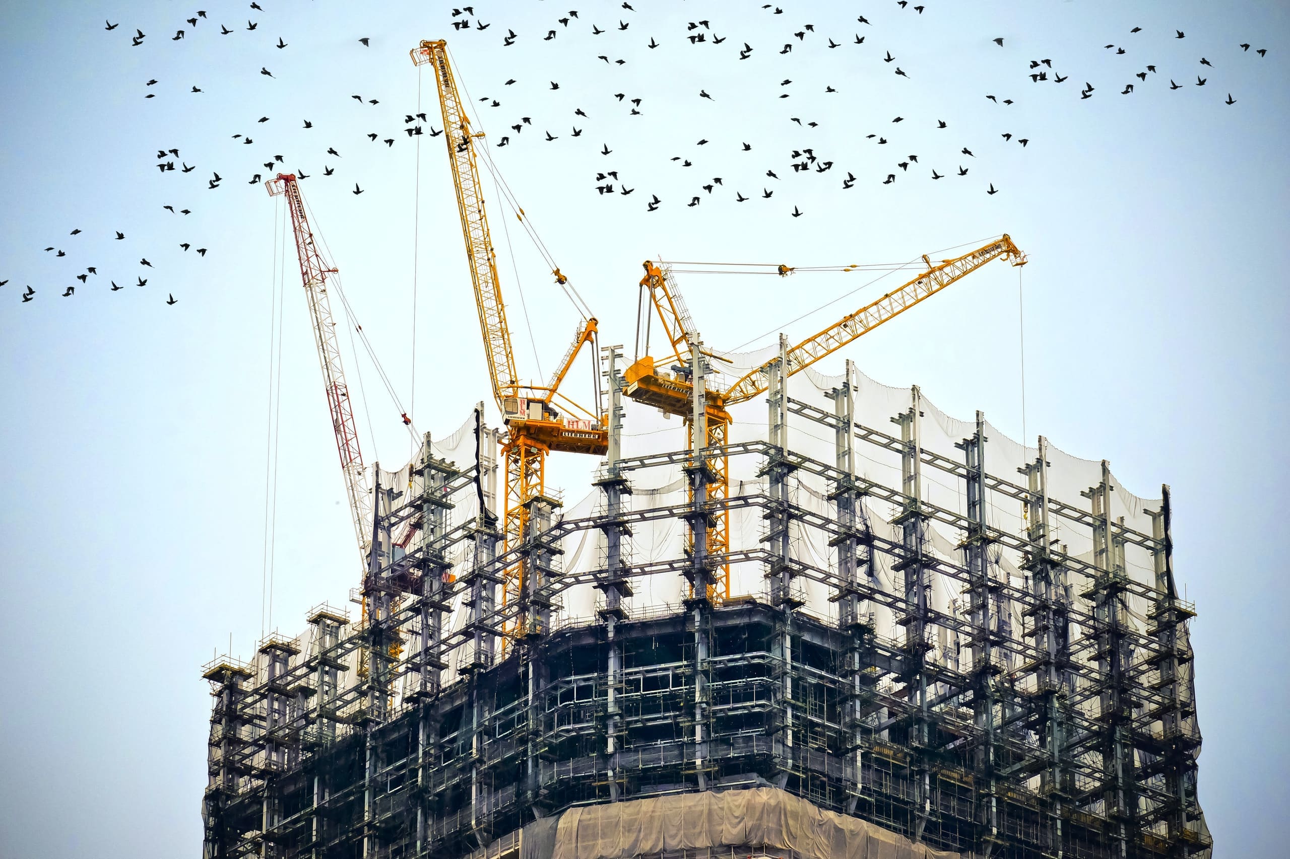 Tower cranes over a commercial high-rise under construction